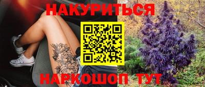 apvp Гусев