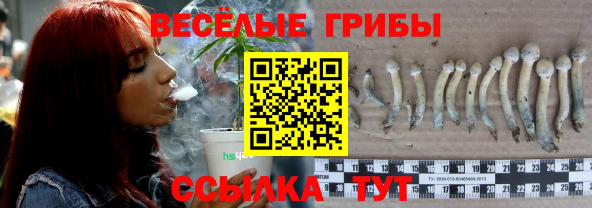 Псилоцибиновые грибы Psilocybine cubensis  наркошоп  Киров  Вход с VPN 